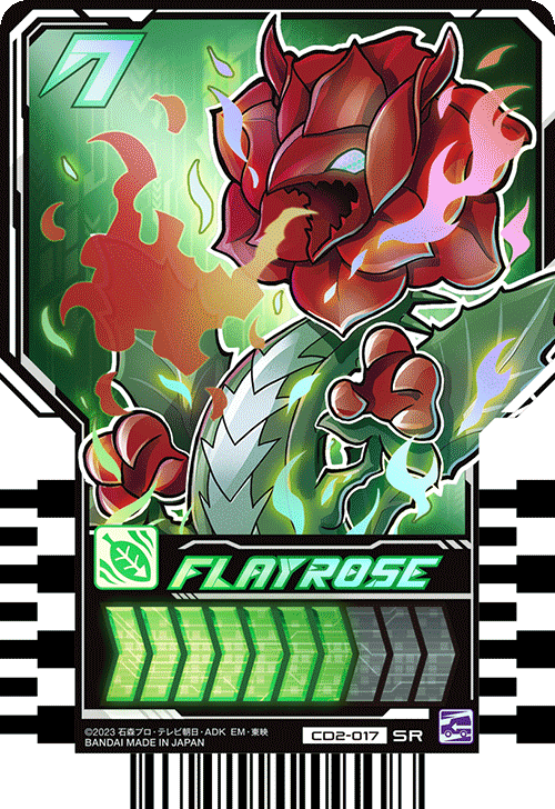 FLAYROSE