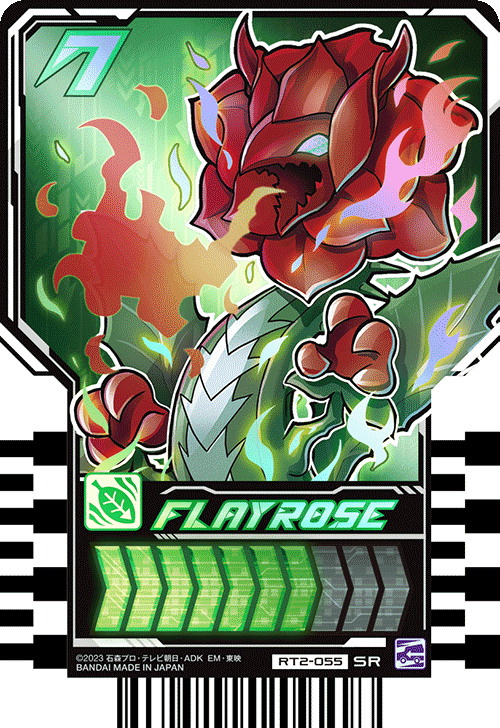 FLAYROSE