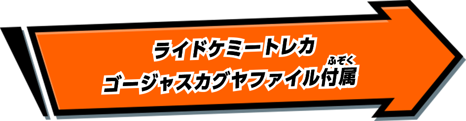 ライドケミートレカ ゴージャスカグヤファイル付属