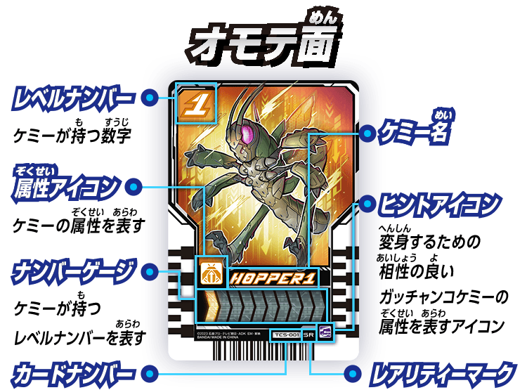 オモテ面